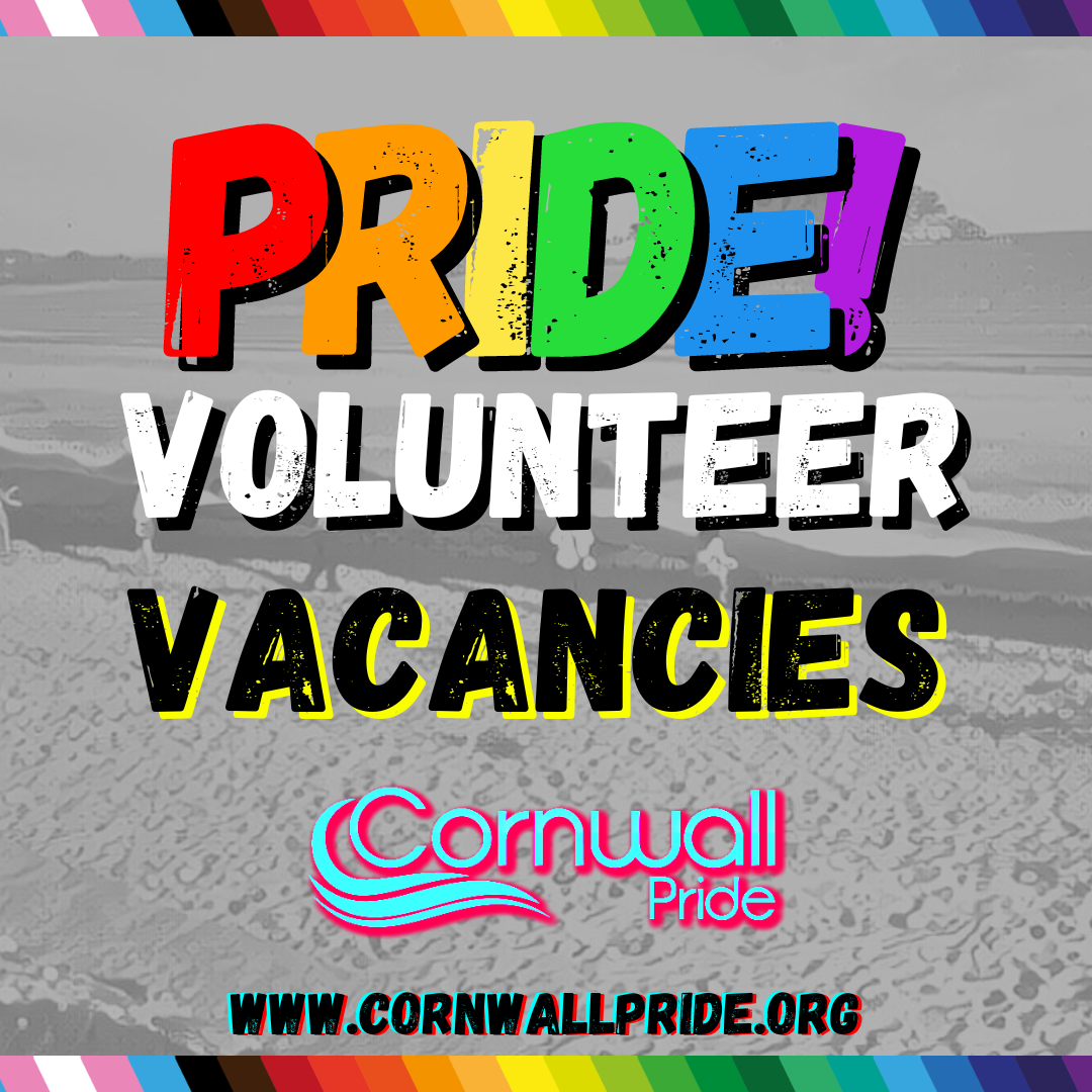 Volunteer Vacancy profile picture