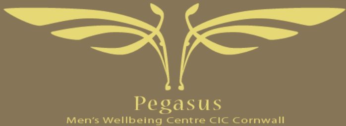 Pegasus Mens Wellbeing logo