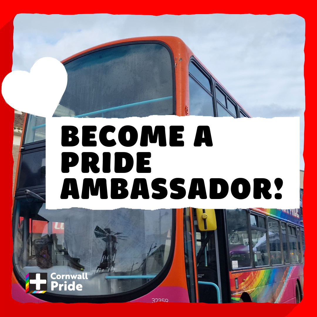 Pride Ambassador (volunteer role) profile picture